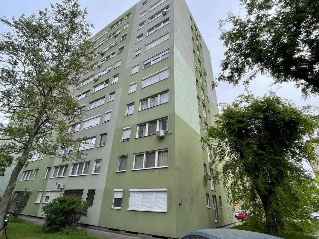 Erre a bokorra zuhant ki péntek délután az ötéves kisfiú Csepelen.Fotó: Oszlányi Gyöngyvér/Bors