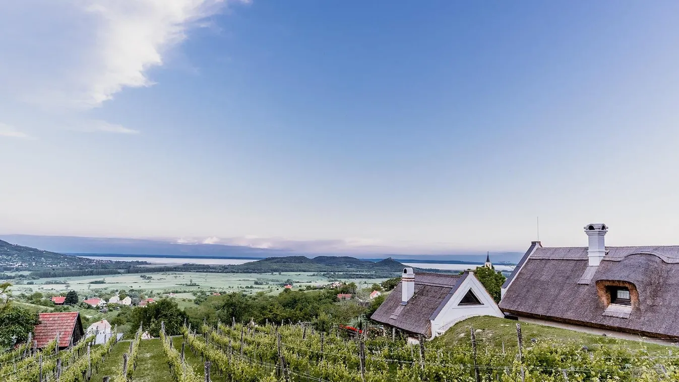 A Balaton-felvidék szőlőhegye újra különleges kulináris élvezetekkel vár