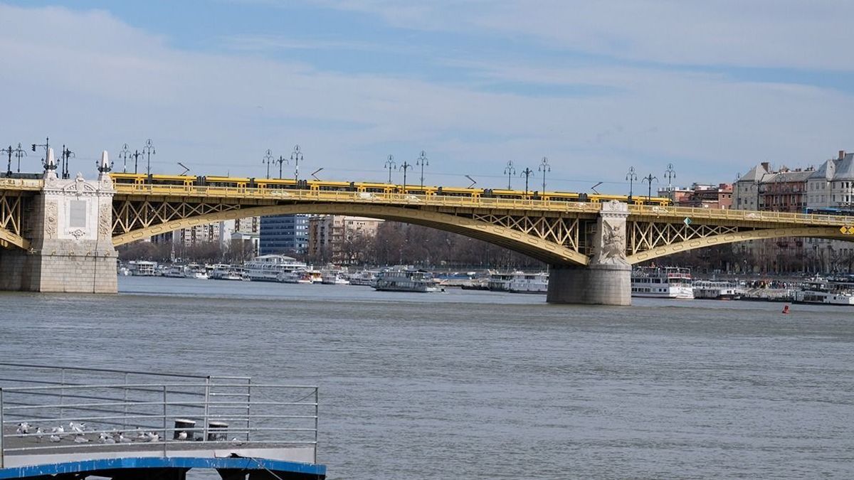 Hülyeséget csinált, szégyenében ugrott le a Margit hídról egy férfi