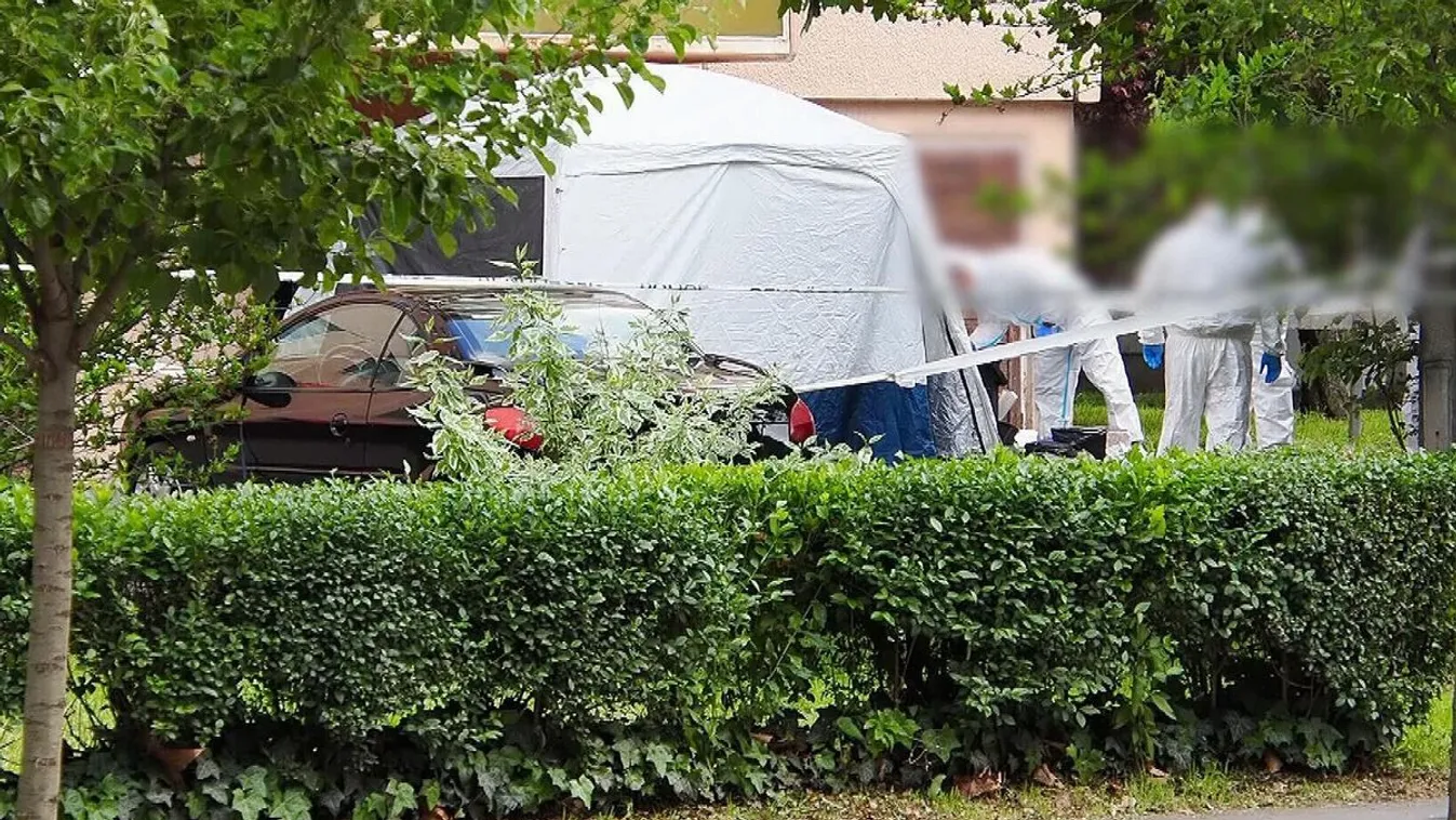 "Olyan dolgokkal kezdte anyát zaklatni..." – hátborzongató részletek derültek ki, ezért ölhetett a szentesi gyilkos