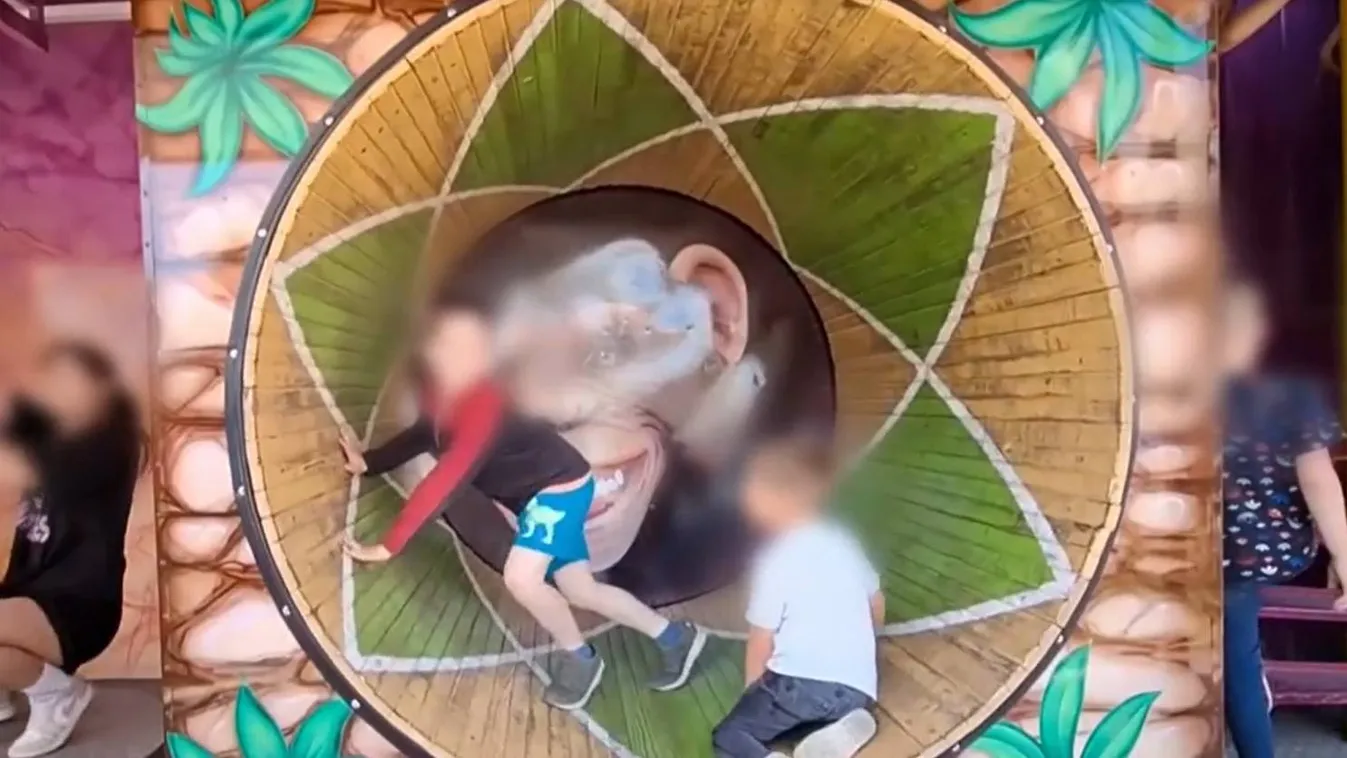 Rémisztő pillanatok a dunakeszi majálison: leszakadt egy hatéves kisfiú ujja – megrázó videó