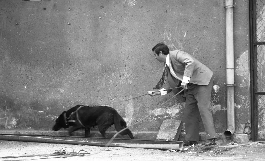 1974: rendőrkutya akcióban