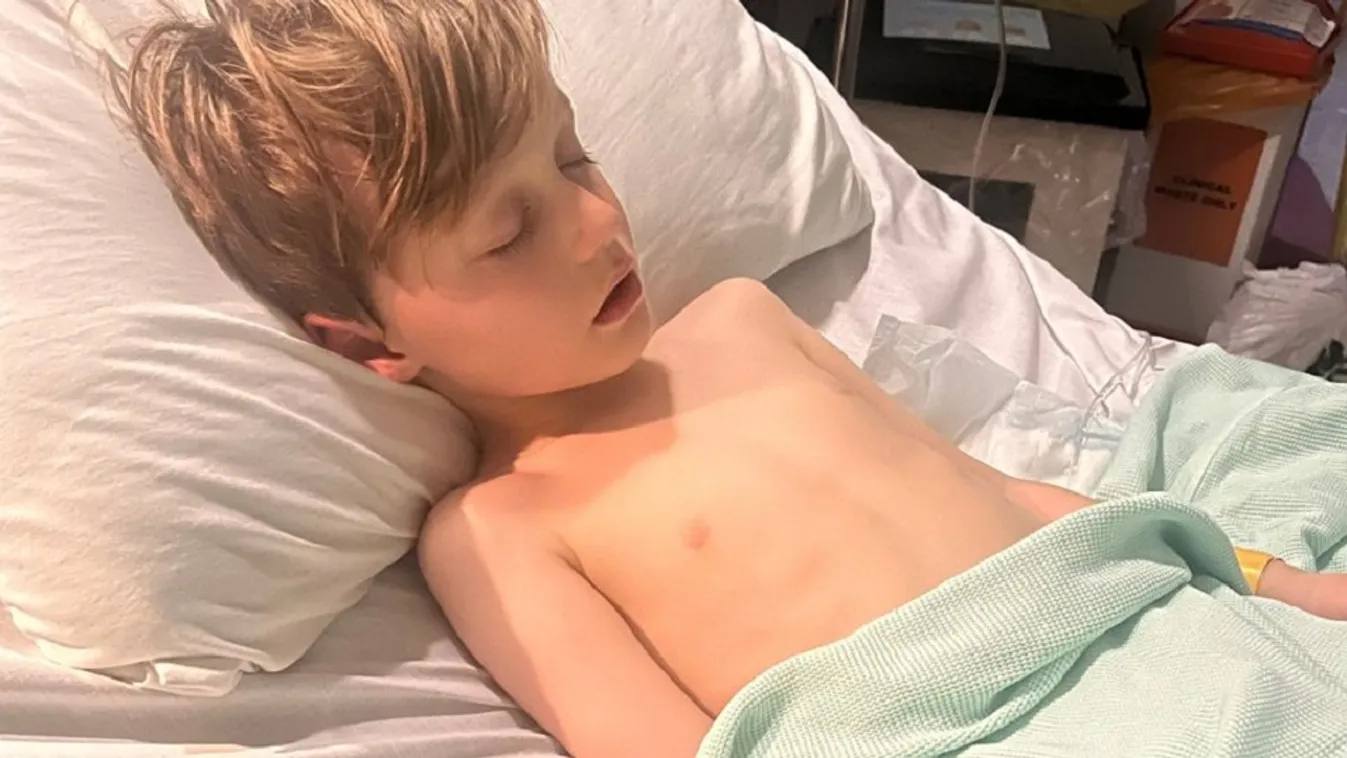 Hajszálon múlott az 5 éves fiú élete a bárány simogatás miatt: „Akár meg is ölhette volna”