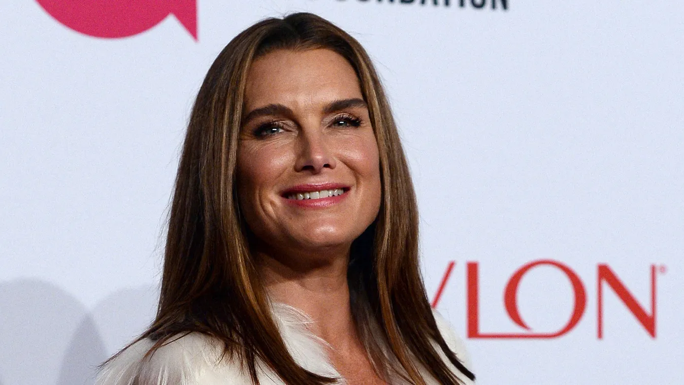 5 érdekesség a ma 59 éves Brooke Shields-ről – Galéria