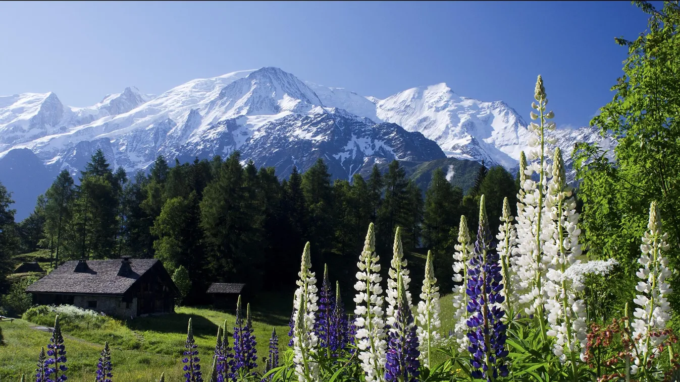 Fehér hegycsúcsok, virágos völgyek – ébredezik Chamonix, az Alpok fővárosa