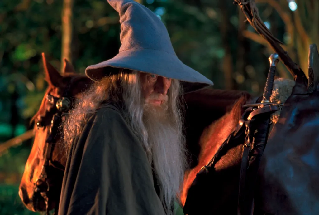 'The Lord of the Rings: The Fellowship of the Ring' by Peter Jackson, New Zealand/USA, 2001.