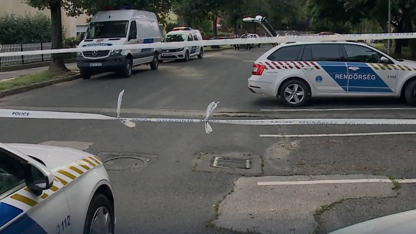 Szörnyű részletek a veszprémi gyilkosságról: saját unokája végzett a nagymamával