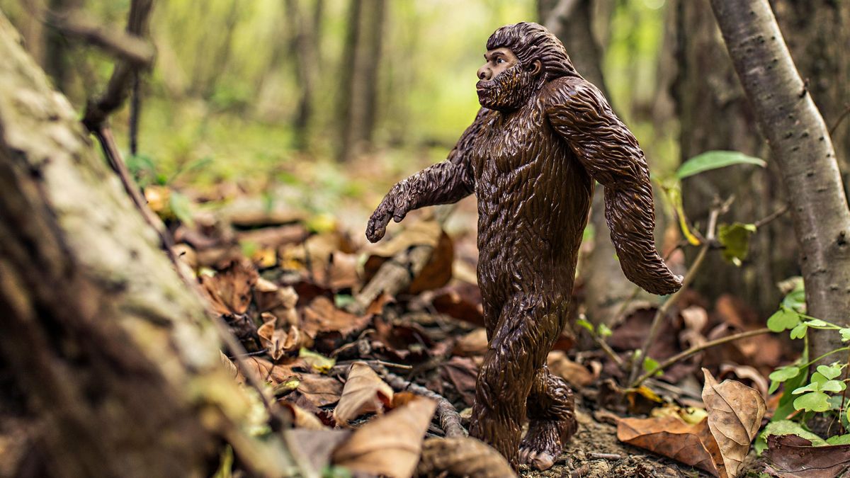 bigfoot nagyláb