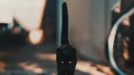 Pszichológus árulta el, mi az oka annak, ha babonás vagy