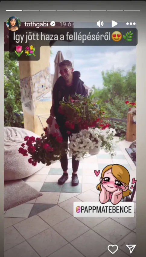 Tóth Gabi, Papp Máté Bence, Instagram-történet