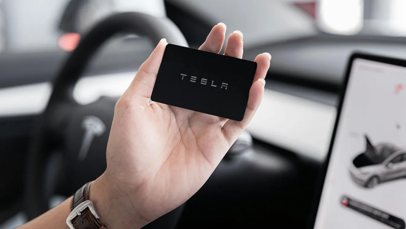 Népőrület, izmozás: Budapesten Elon Musk Tesla monstruma - Galéria