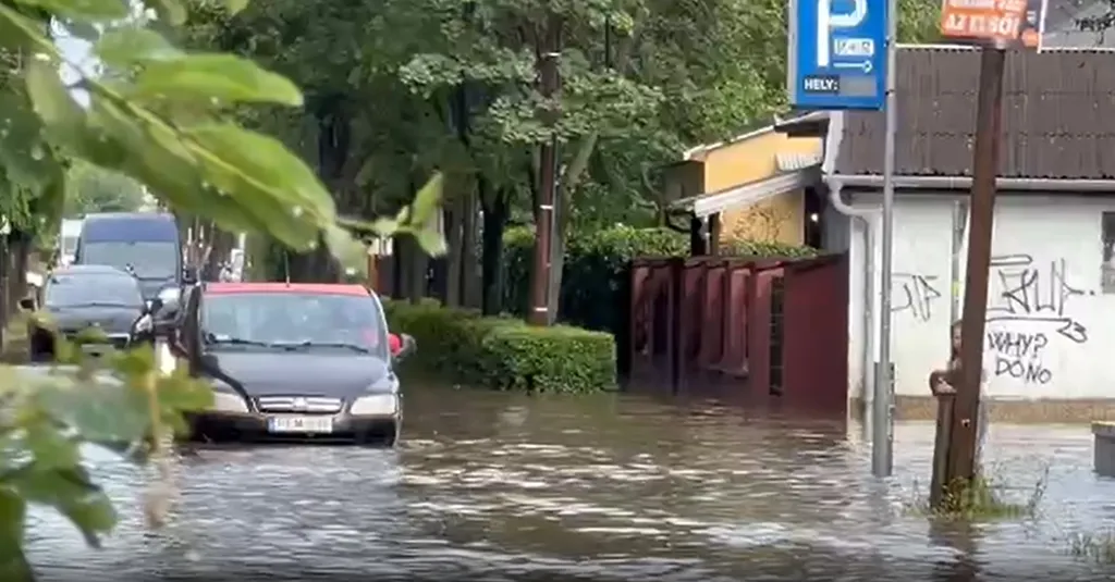 Vihar