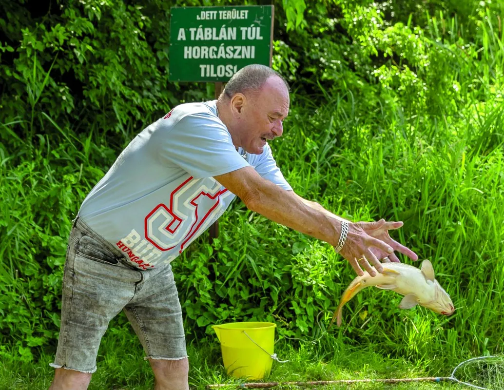 hot feltöltés nagy feró mélyinterjú