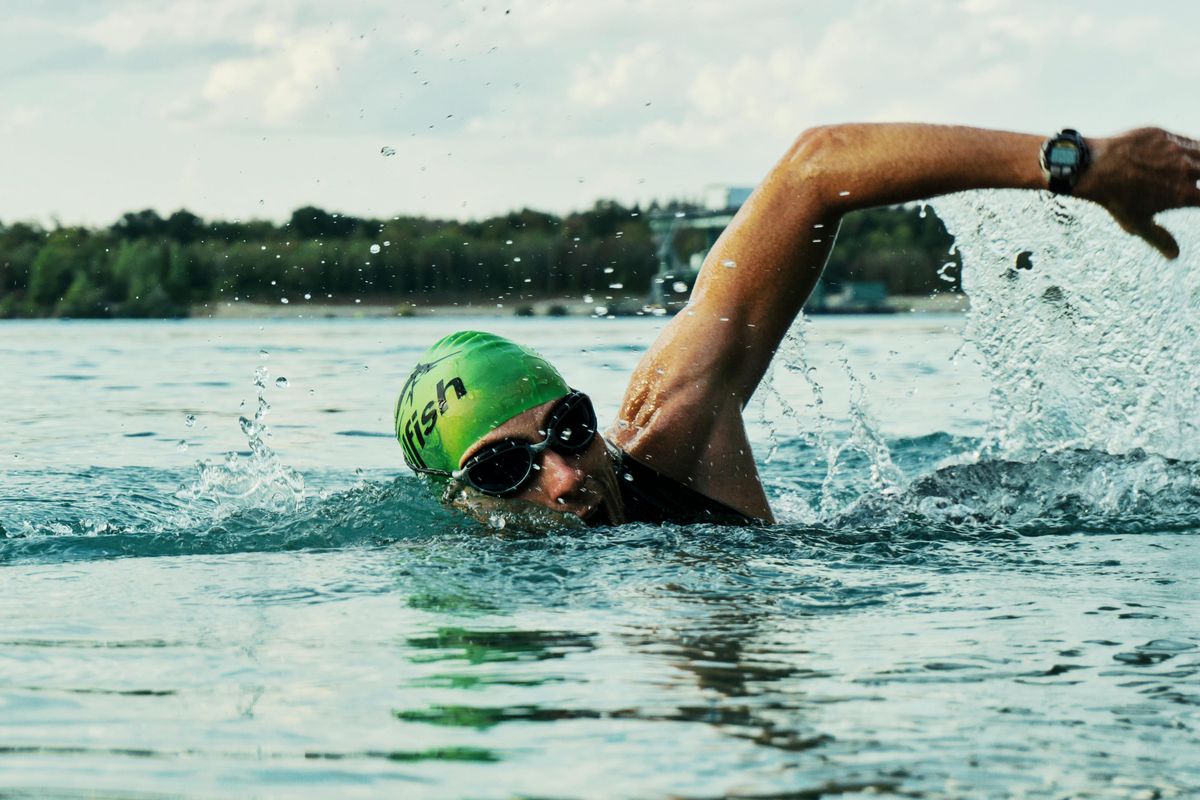 úszás, sablon, illusztráció, swimming, swim, 