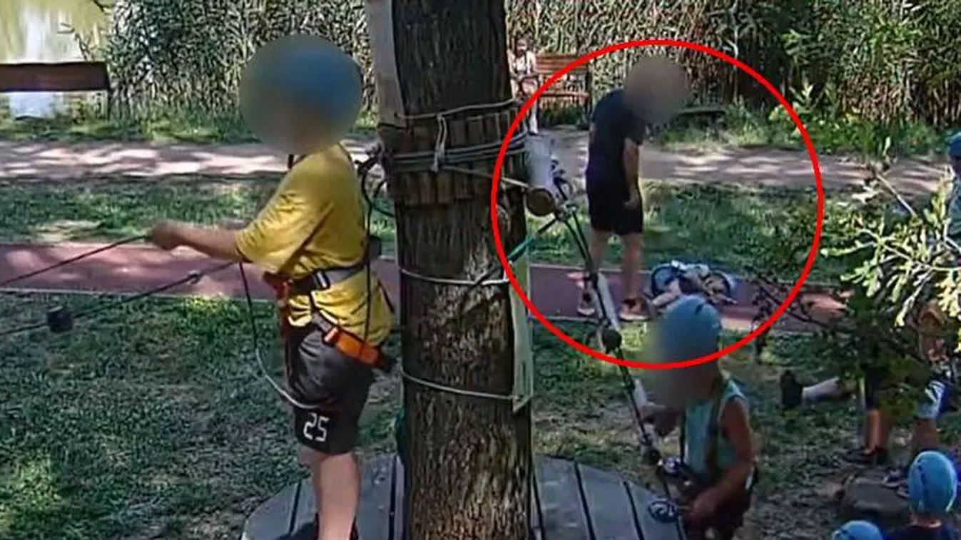 Ekkor kér bocsánatot a karatemester a felrúgott Rolitól – nem tudta, hogy tettét rögzíti a kamera