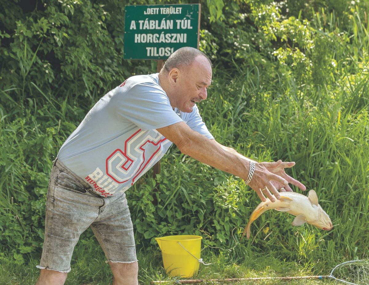 hot feltöltés nagy feró mélyinterjú