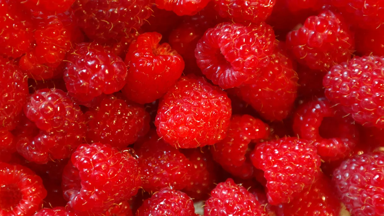 Valami könnyűre, de istenire vágysz a rekkenő nyári hőségben? Málnás smoothie, a szezon slágere!