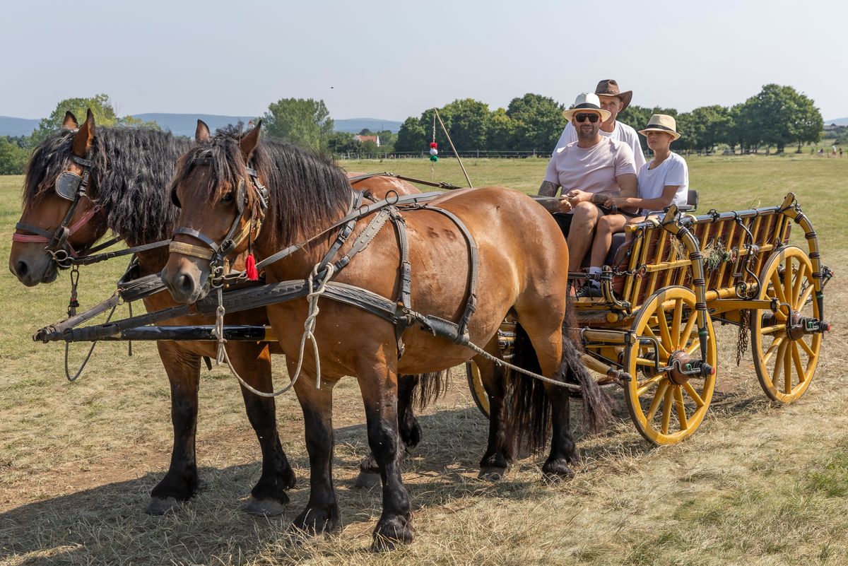 Kucsera Gábor KucsiTanya fia Beni