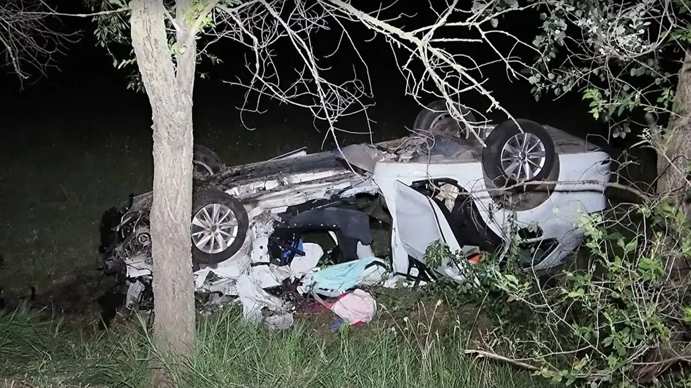 Útra rohanó kutya miatt halt meg egy nő Fülöpházánál