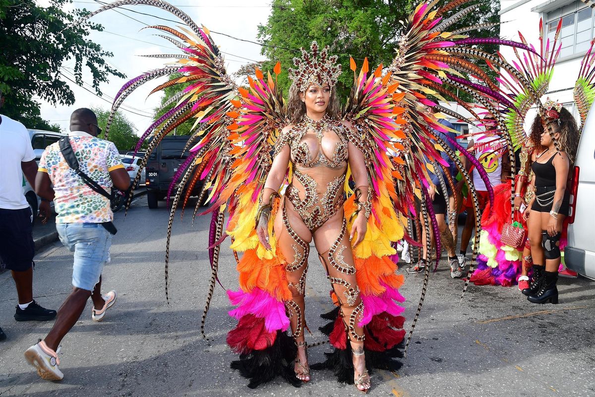 *EXCLUSIVE* Singer Rihanna Stuns at Carnival Festival In Barbados