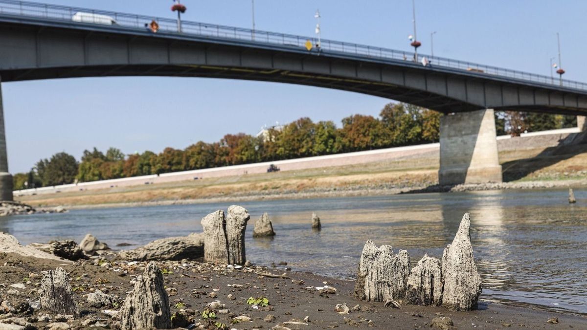 Hihetetlen, mi bukkant elő a Tiszából: csak pár évente látni ezt az ötszáz éves kincset