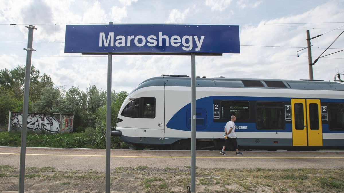 Szülei összeomlottak: iskolakezdés előtt gázolta halálra a vonat a 14 éves Viktóriát