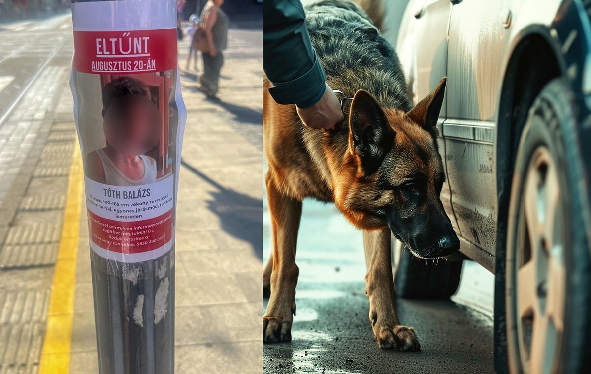 A tinit több településen is keresik, de egyelőre nem akadtak a nyomára /