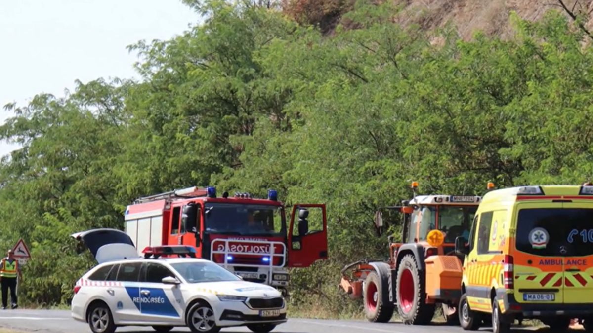 Sokkoló baleset: órákig feküdhetett a bokrokban holtan a magyar férfi - videó