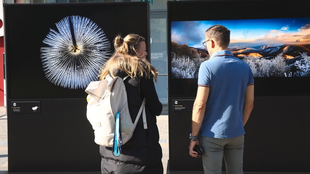 Fedezd fel Magyarország legszebb tájait és látnivalóit: megnyílt a kiállítás a Magyarország 365 fotópályázat képeiből – galéria