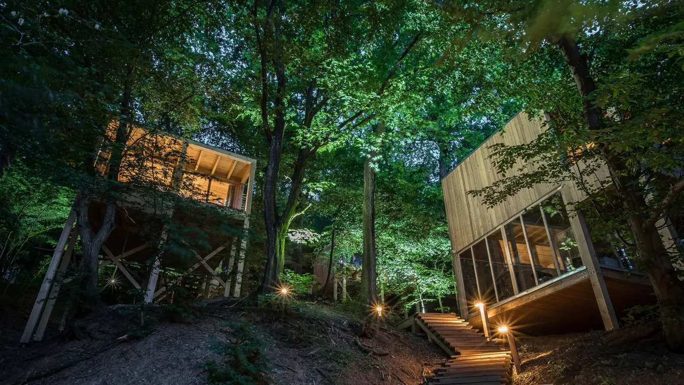 Romantika és relaxáció a lombok között: Treehouses Noszvaj