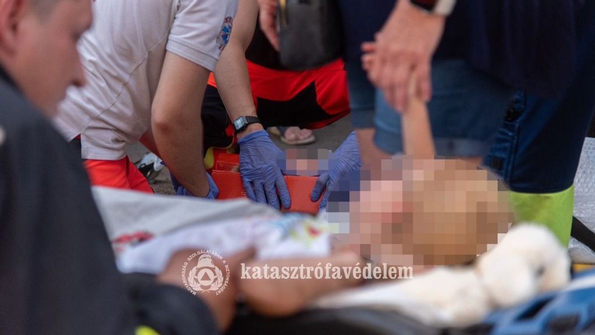 Rádőlt egy fa az anyára és gyermekére Zuglóban, megrázó részletek, fotók