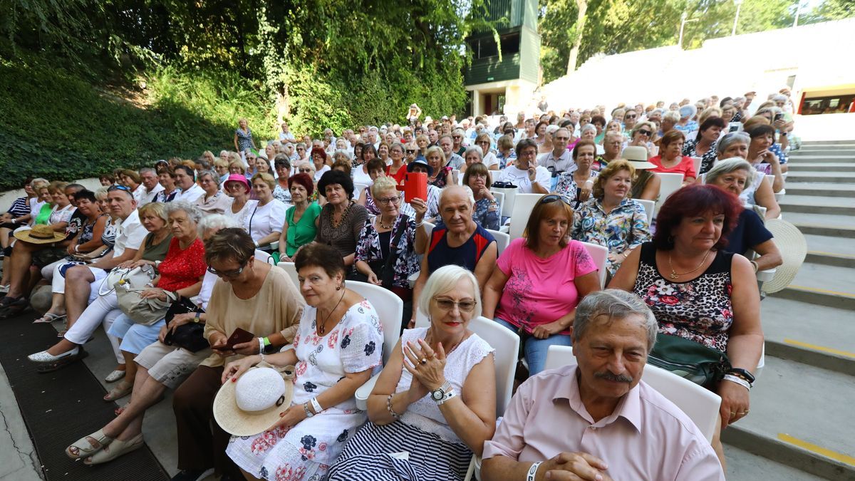 „A magány ellen küzdünk” - 20 éves lett a szépkorúakat támogató Tisztelet Társasága