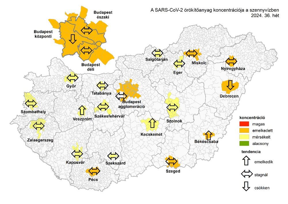 szennyvíz vírus koncentráció 36. hét