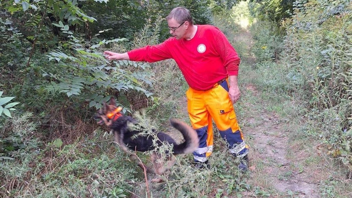 Holtan találták meg az eltűnt Danit és Balázst; hiába küzdöttek a kiszabadított emberekért Piliscsabán