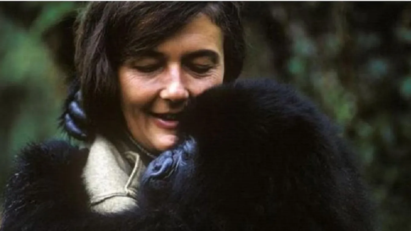 Az őserdők hős asszonya - Dian Fossey vakmerő élete és tragikus halála