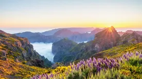 Fizetnünk kell a túrázásért Madeira szigetén
