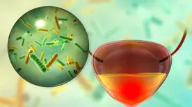 Felfázás és a modern életmód