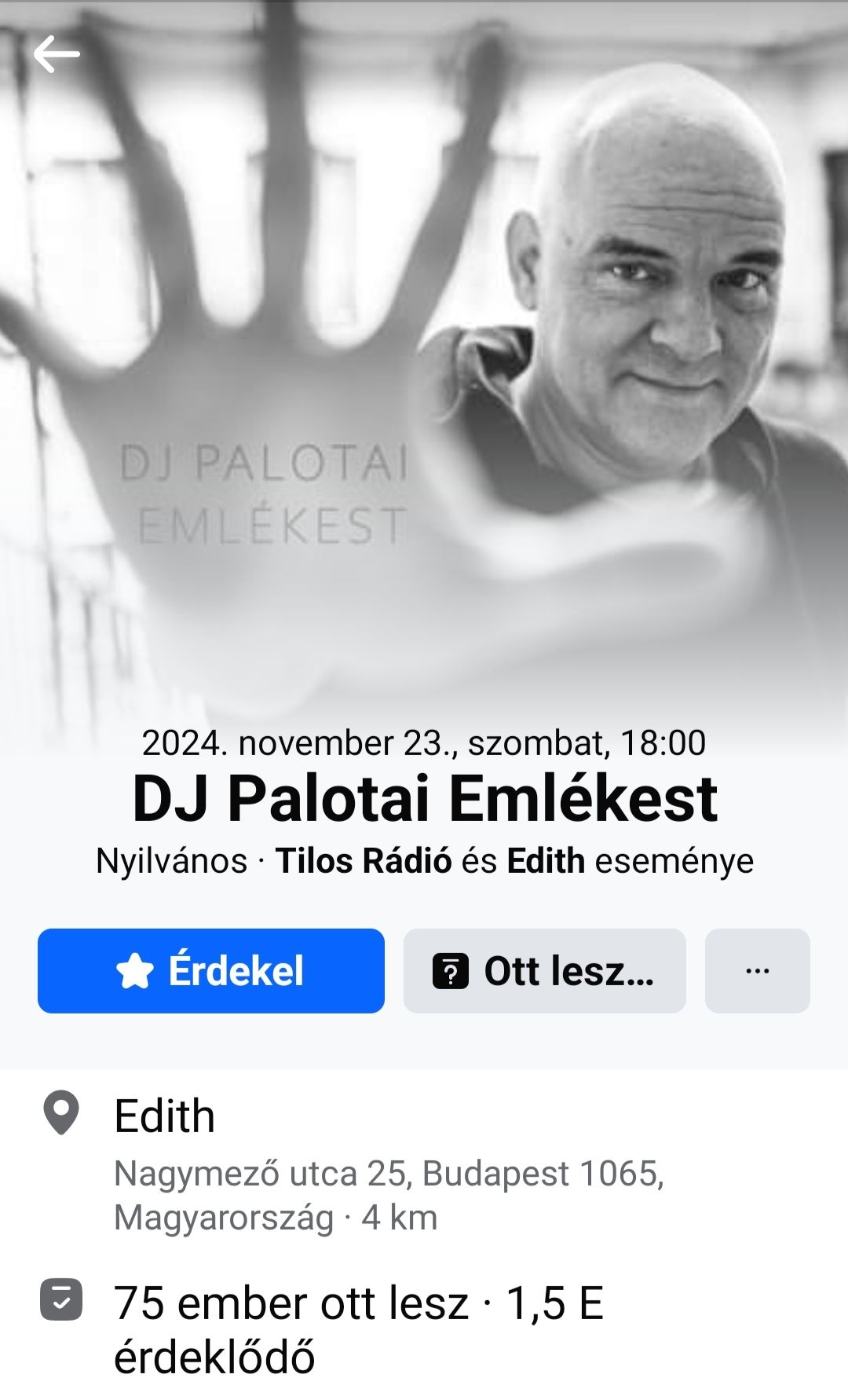 DJ Palotai