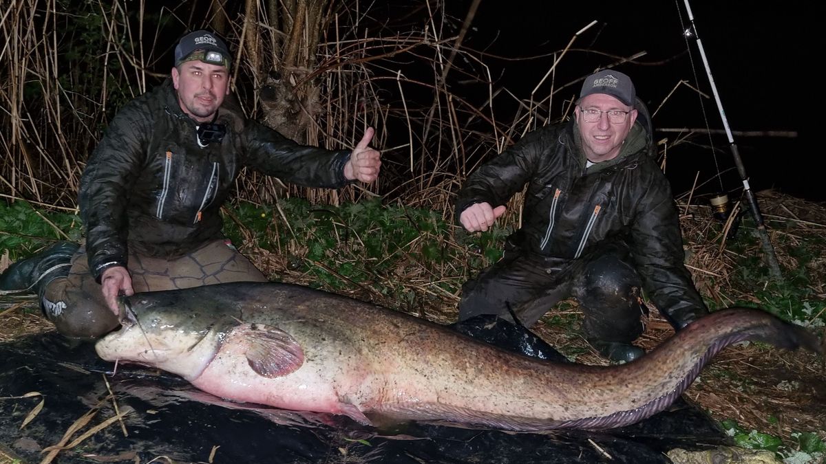 Óriásharcsákat rejt a fővárosi Naplás-tó