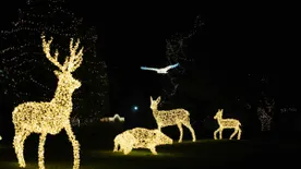 Ezek a legszuperebb fénykiállítások kicsiknek és nagyoknak