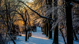 Fedezd fel a Normafa varázsát - Feledhetetlen kirándulás Budapest környékén