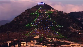 Ekkorát még nem láttál: Ez a karácsonyfa bekerült a Guinness-rekordok könyvébe