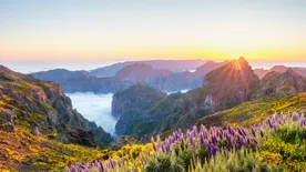 Madeira, a nagy botanikus kert, ahol örökké tavasz van