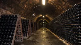 Kell a pezsgés - Bejártuk a Törley cég pincerendszerét