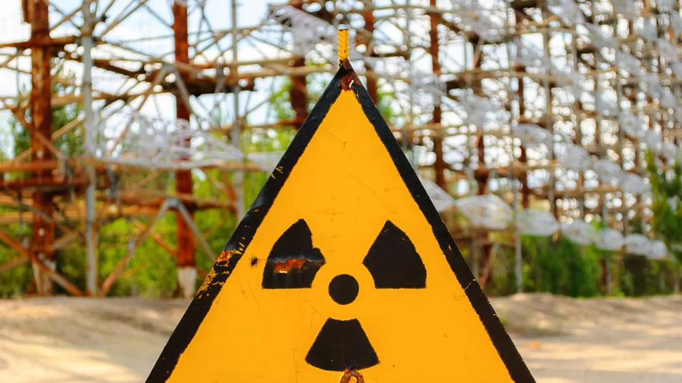 Mutáns kutyák Csernobilban – Az atomkatasztrófa után felgyorsult az evolúció