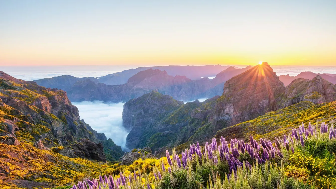 Madeira, a nagy botanikus kert, ahol örökké tavasz van