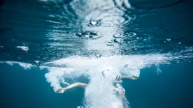 Így tért visszatért a halálból: ez a nő 80 percig volt a jeges víz alatt