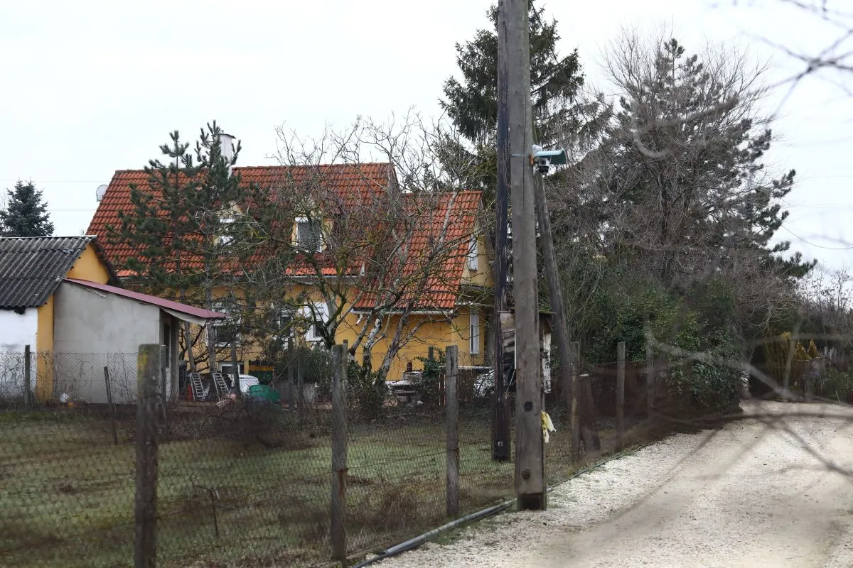 gyilkosság