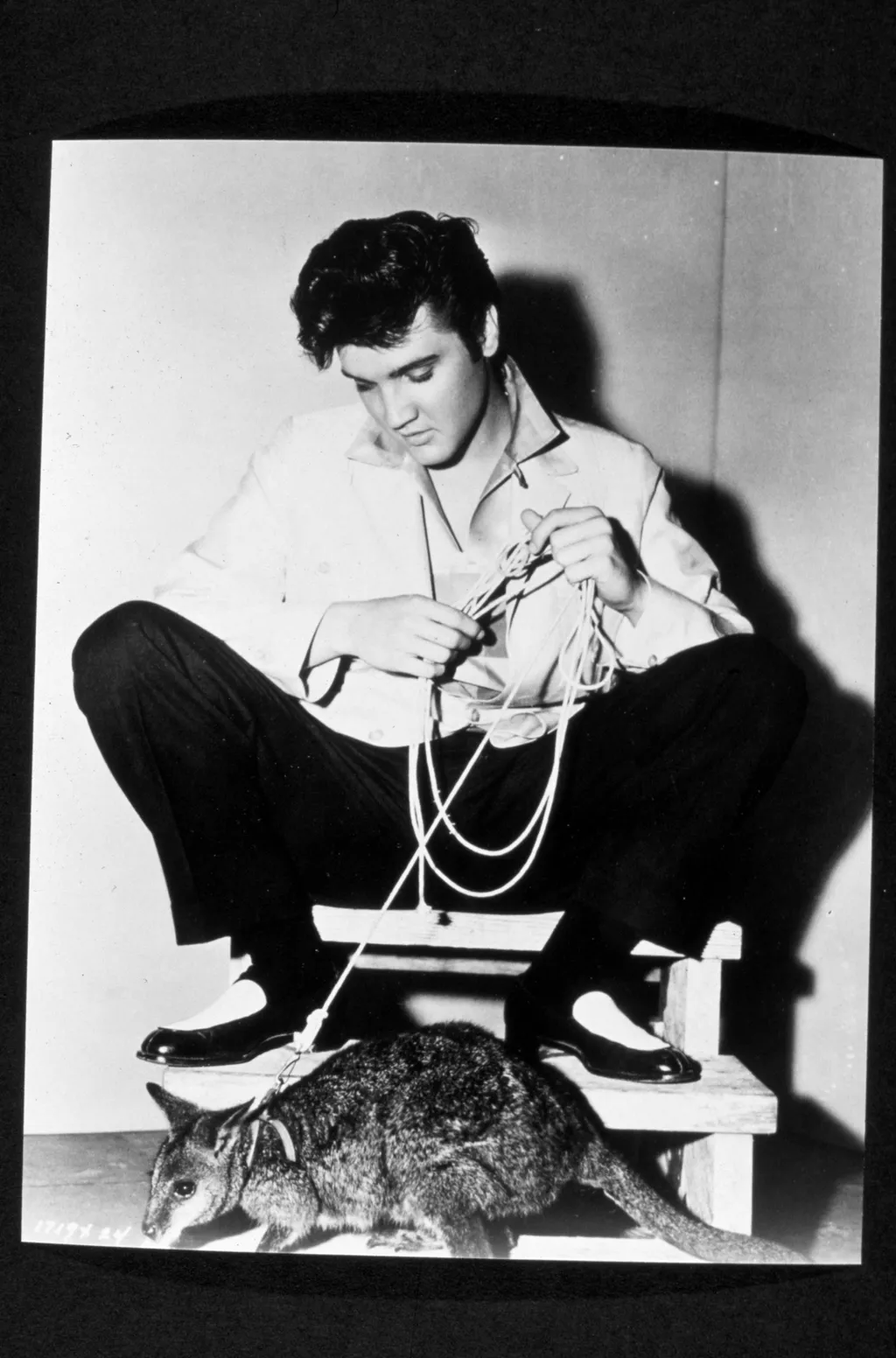 JAILHOUSE ROCK