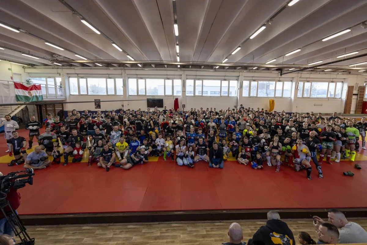 Muaythai, Drávucz